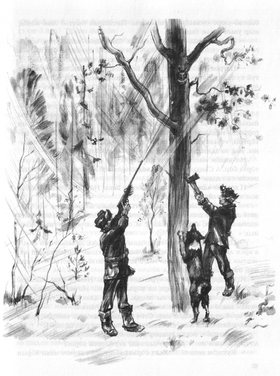 scan_5.jpg scan_5.jpg