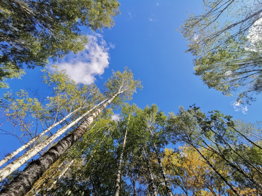 vPOcLo-AJw-zrp6VdZp0hU-tH9P_RT-pUQcMb2yPnj-wDG9tJfkWTCPkt-BotZ4I1uDnRtfN4x1ET0C0O23cibN-.jpg vPOcLo-AJw-zrp6VdZp0hU-tH9P_RT-pUQcMb2yPnj-wDG9tJfkWTCPkt-BotZ4I1uDnRtfN4x1ET0C0O23cibN-.jpg